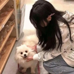 齐齐哈尔房产网